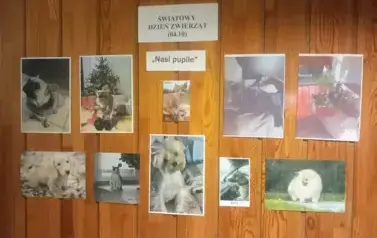 Światowy Dzień Zwierząt 4