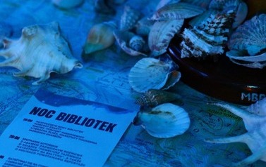 Noc Bibliotek 13