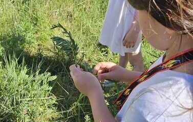 IMG-20260526-WA0034