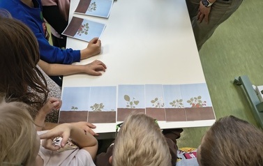 Pan Truskawa w Filii 4 &ndash; spotkanie pełne truskawkowych odkryć!- spotkanie autorskie z Panią Kingą Biernacką 33