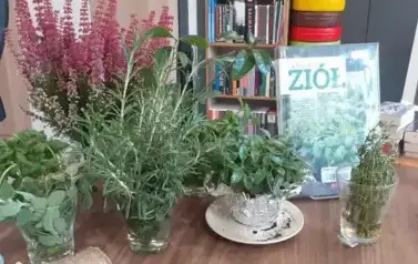 Warsztaty "Jesienne zielniki" 11