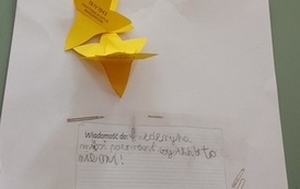 IMG_20260420_114115