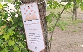 Akcja: Miłość poszukiwana w Filii nr 4! 21