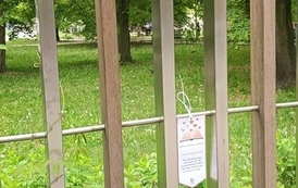 Akcja: Miłość poszukiwana w Filii nr 4! 22
