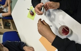 Magnes i pole magnetyczne &ndash; naukowa przygoda z Nelą na kole podbiegunowym! 12