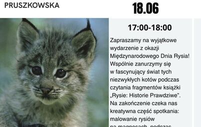 Międzynarodowy Dzień Rysia w Filii nr 5
